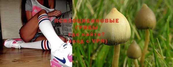 марки nbome Зерноград