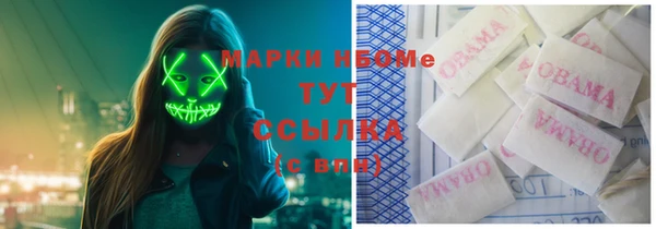spice Гатчина